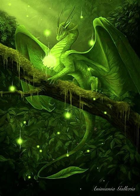 Aphaia, my female earth dragon | Мифические существа, Изображение дракона, Рисунки