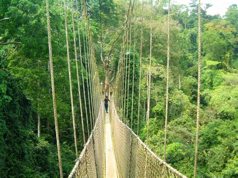 Canopy Walk at Kakum Park, Central Ghana | One at a time is … | Flickr