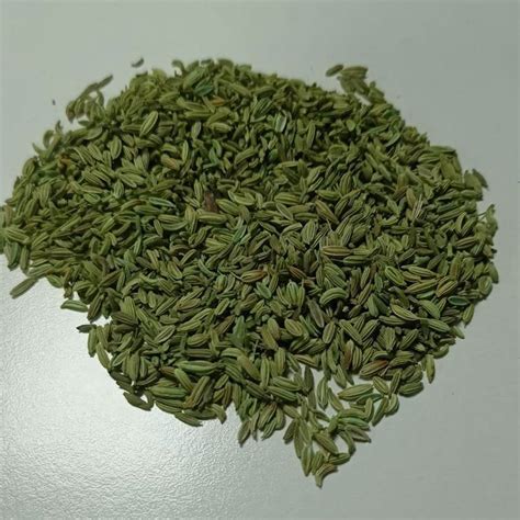 Green Dried Fennel Seeds, Packaging Type: Loose at Rs 230/kg in Pali