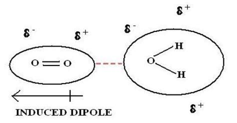 Dipole-Induced Dipole Interactions - QS Study