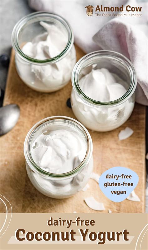 Dairy-Free Coconut Yogurt | Vegan Yogurt Recipes | Vegan yogurt, Keto ...