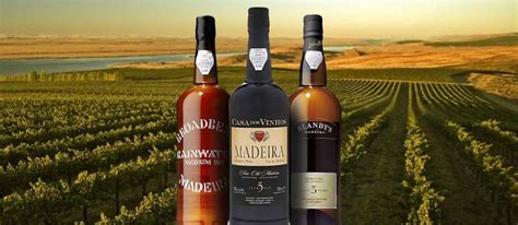 Madeira | Local Fortified Wine From Madeira | Dry wine, Fortified wine ...