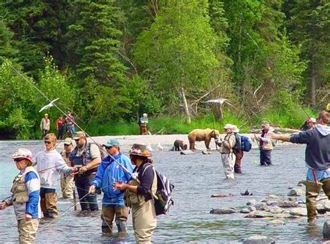 Bears Go Fishing With The Public - I Love Alaska