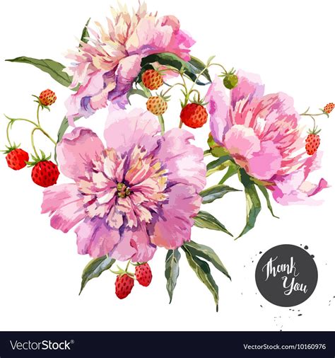 Peony and berry composition Royalty Free Vector Image