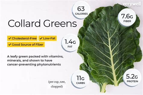 Collard Greens Nutrition Facts and Health Benefits