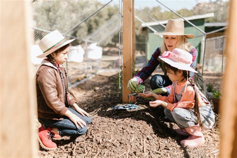 The Future of Farming: Exploring Sustainable Agriculture Practices in Dubai