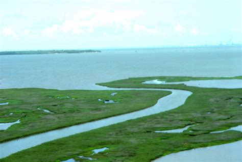 Marsh surrounding the Nueces River entering Nueces Bay. | Download ...