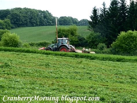 Cranberry Morning: Harvesting the Alfalfa