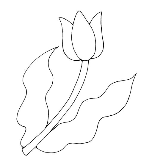 Coloring Tulip Clipart Black And White