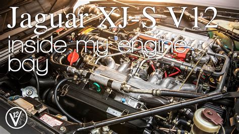 Jaguar XJ-S V12 manual - What's Inside my engine bay?! - YouTube