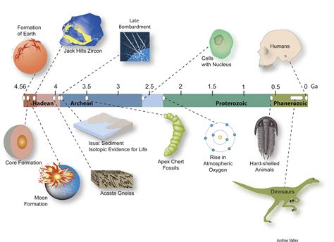 caption a timeline shows the geological context of jack hills zircons ...