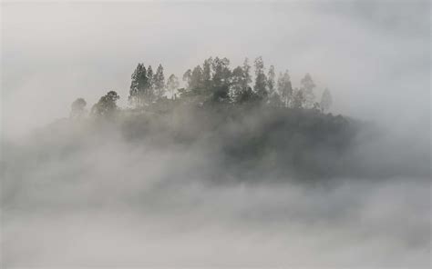 Fog Photography Tips - 10 Ways to Improve Your Skills