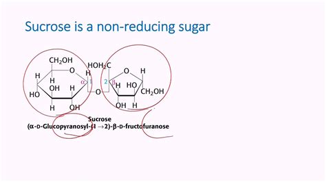 Is Sucrose a Reducing Sugar