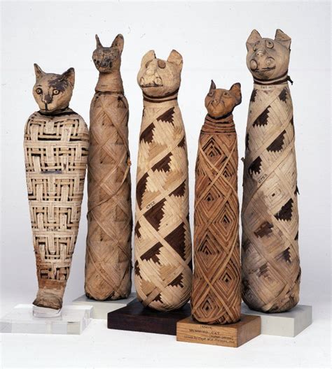 Cat mummies from ancient Egypt. Cats were thought to represent the goddess, Bastet. From 332 B.C ...