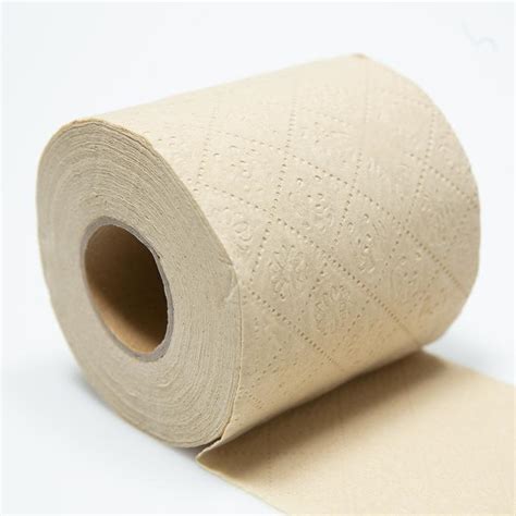 The Best Eco Friendly Toilet Paper - Mama Eco