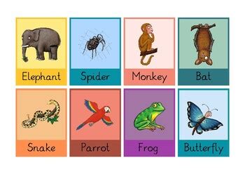 Monkey Puzzle Character Cards by Kinderacrosstheocean | TPT