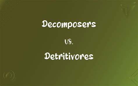 Decomposers vs. Detritivores: What’s the Difference?