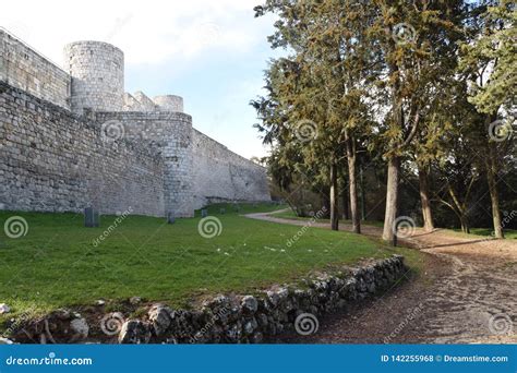 Castle of Burgos - Spain stock photo. Image of arboles - 142255968