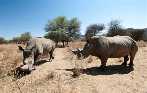 Namibia Safaris – Trails of Africa Safaris