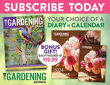 Gardening Australia - ABC Gardening Australia Magazine contains practical and inspiring ...