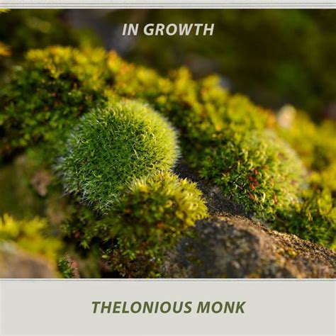 In Growth, Thelonious Monk Piano Solo - Qobuz