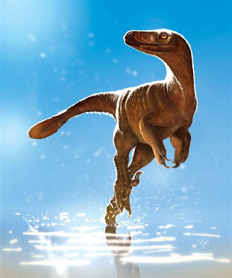 Latenivenatrix Pictures & Facts - The Dinosaur Database