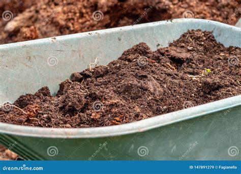 Manure: Organic Bio Natural Fertilizer in a Wheel Barrow. Farm Life Stock Image - Image of food ...