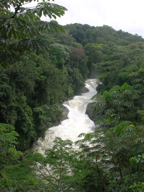 Cross River National Park, Nigeria Photos