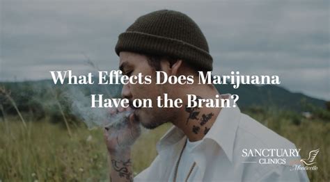 What Effects Does Marijuana Have on the Brain? - Sanctuary Clinics