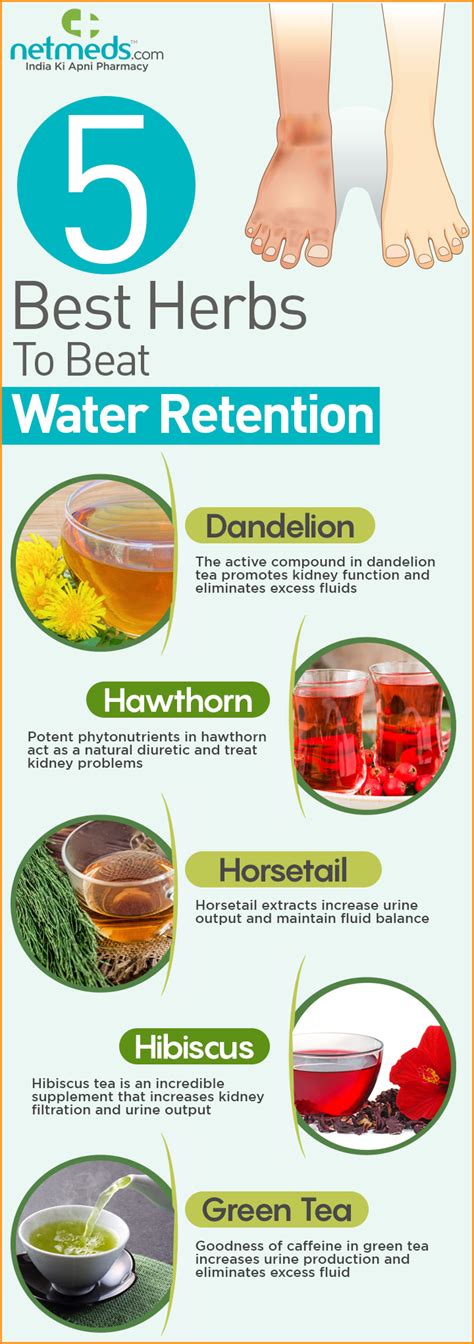 Natural Diuretics: 5 Must-To-Try Herbs For Better Kidney Health ...