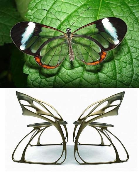 Gaia-Stock.com on Instagram: “Look at this Butterfly Chair ♥ Yes or No ...