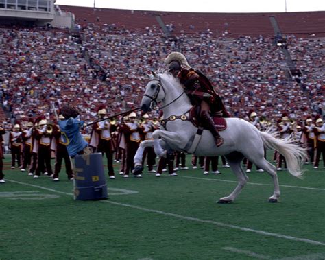 Traveler, the USC Mascot. Celebrating his 50 Year Anniversary! - Horse and Man