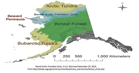 The Alaskan Boreal Forest: The Alaskan Boreal Forest