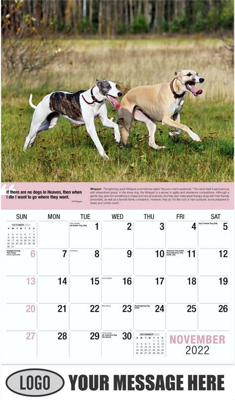 2024 Dog Calendars For Sale - 2024 Year Calendar