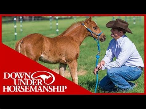 Foal Training With Clinton Anderson - COWGIRL Magazine