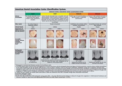 Dental Caries: An Update on Dental Trends and Therapy | University of ...