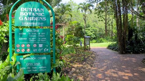 Durban Botanical Gardens in Durban | Expedia.co.uk