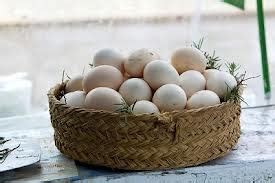 Benefits of Native Chicken Eggs for Health - HEALTHY SNACKS BRAND