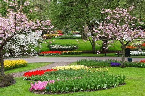 Garden Fancy: A beautiful spring garden area (in my mind)