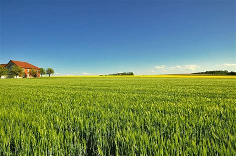 HD wallpaper: field, agriculture, farm, landscape, panorama, nature ...