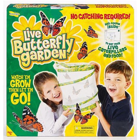 Insect Lore Butterfly Garden Caterpillar to Butterfly Growing Kit | Buy online at The Nile