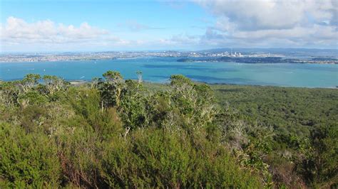 Rangitoto Summit Track: Rangitoto Island, Auckland region