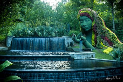 Atlanta Botanical Garden Photography - Eugene L. Brill