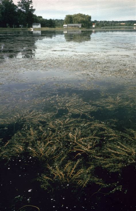 Earth Day 2017: Jarring Photos of Polluted Great Lakes | Time.com