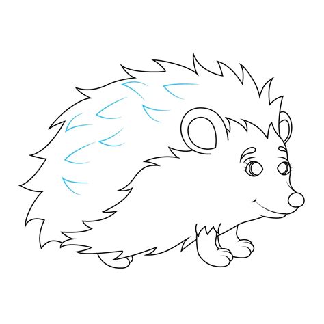 How to Draw A Hedgehog Step by Step