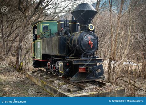 Old Small Steam Locomotive on Part of Railway in the Forest Like a ...