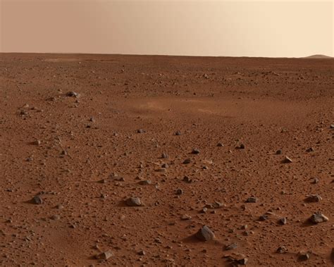 If We Ever Get to Mars, the Beer Might Not Be Bad - The New York Times