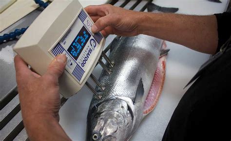 Instrumentation helps provide more accurate fish quality analysis | 2017-10-23 | Food Engineering