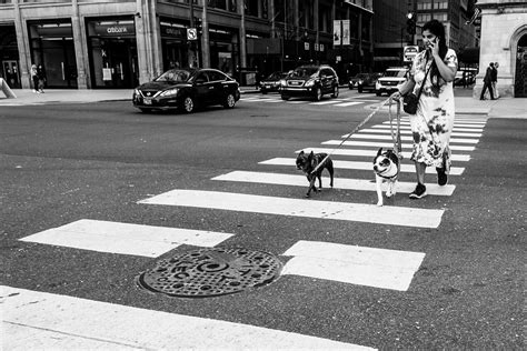 Walkin' & Talkin' | Chicago, IL 2021 Sony RX100 III | RW Sinclair | Flickr