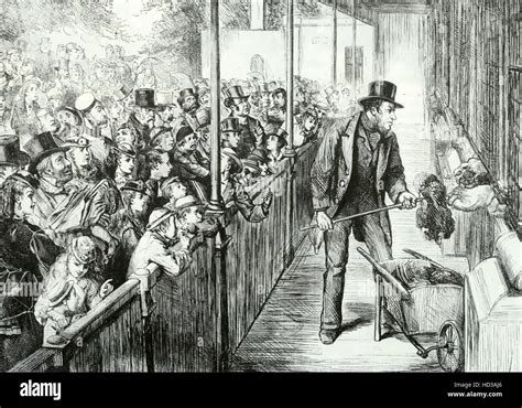 LONDON ZOO Crowd watching the lions being fed on Bank Holiday Monday, 19 August 1871 Stock Photo ...